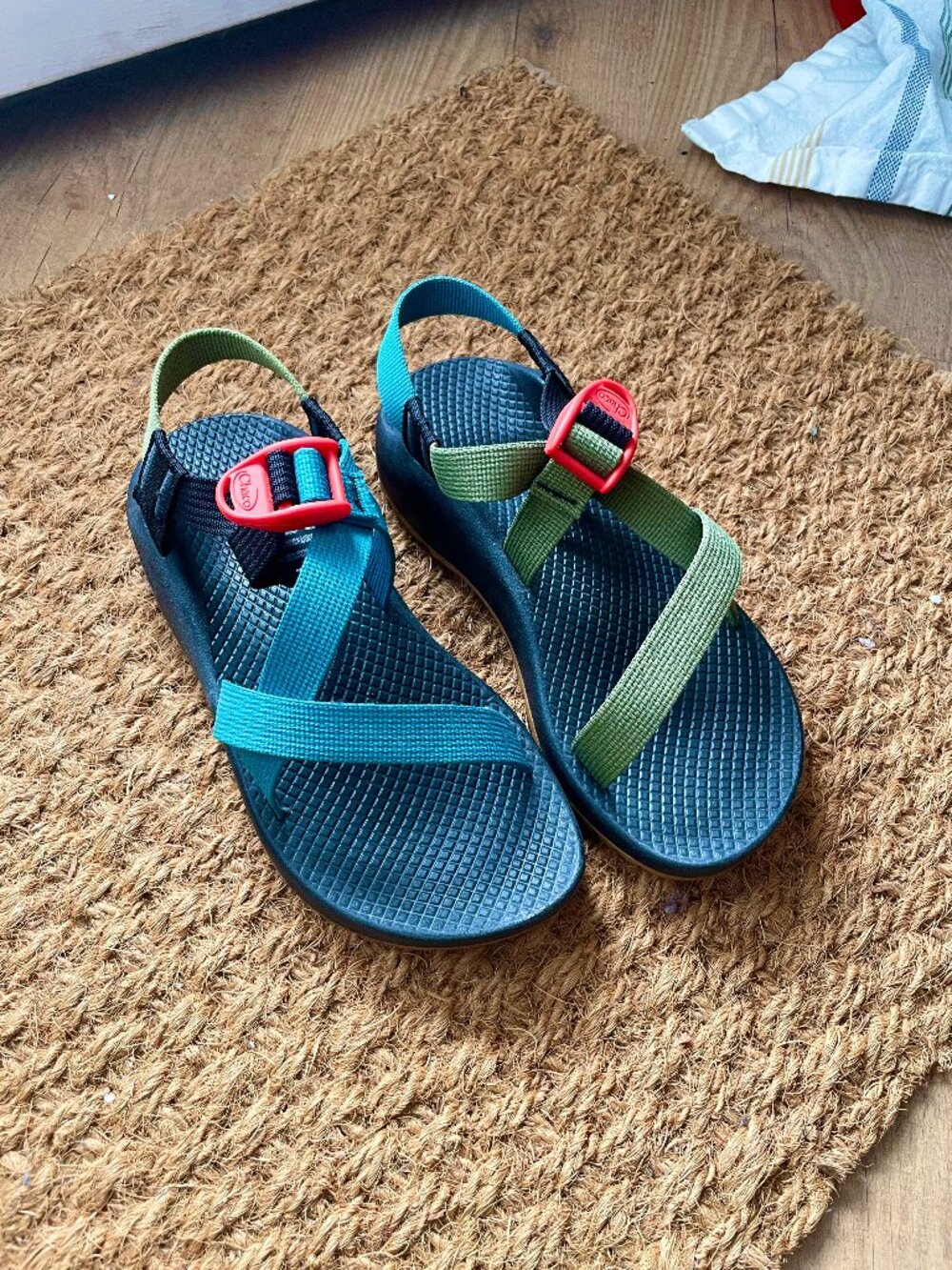Chaco Z1 in Teal Avocado W6